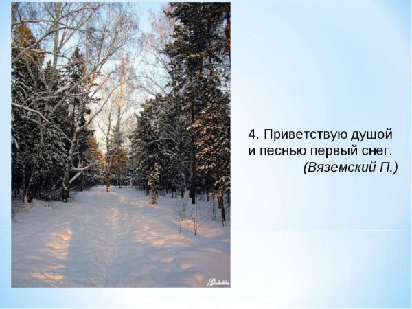 П А Вяземский первый снег