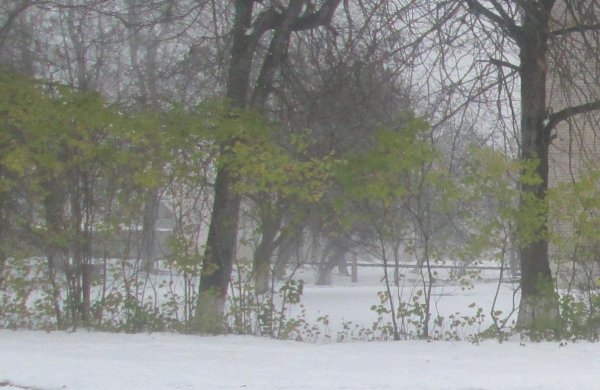 Снегопад в Смоленской области