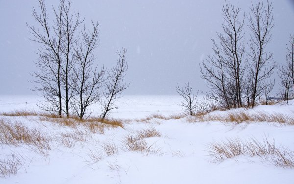 Зимний пейзаж неяркий