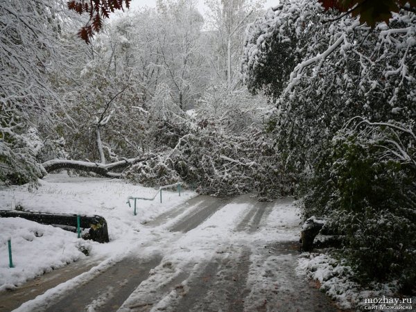 П А Вяземский первый снег