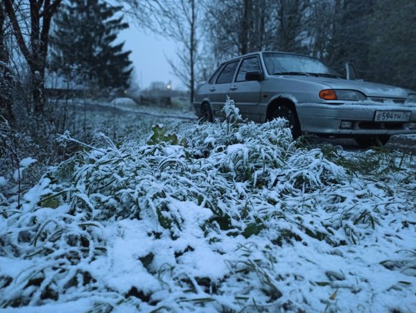 Первый снег Тверская обл