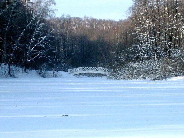 П А Вяземский первый снег