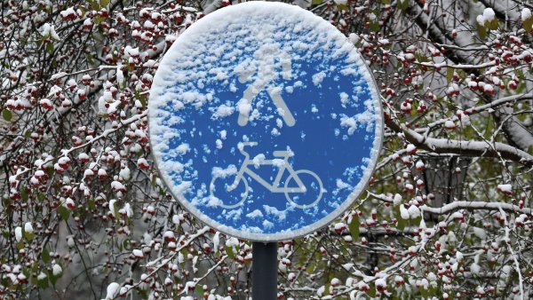 Осадки в виде снега