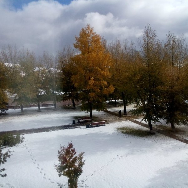 Братск первый снег