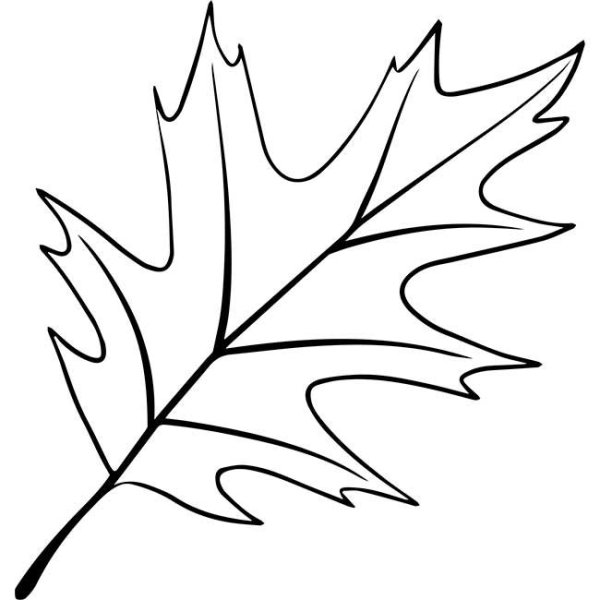 Трафареты осенних листьев