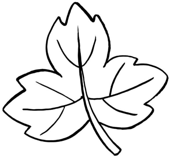 Красивые осенние листья трафареты