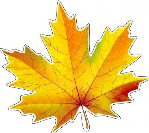 Кленовый лист цветной