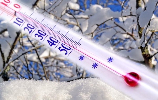 Мороз 40 на термометре