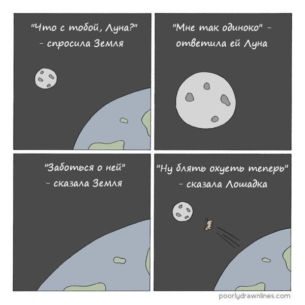 Полная Луна юмор