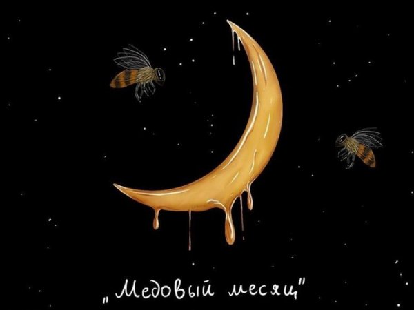 С медовым месяцем прикольные