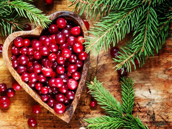 Красные новогодние ягоды