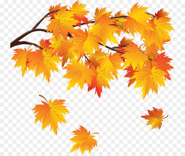 Ветка клёна для детей