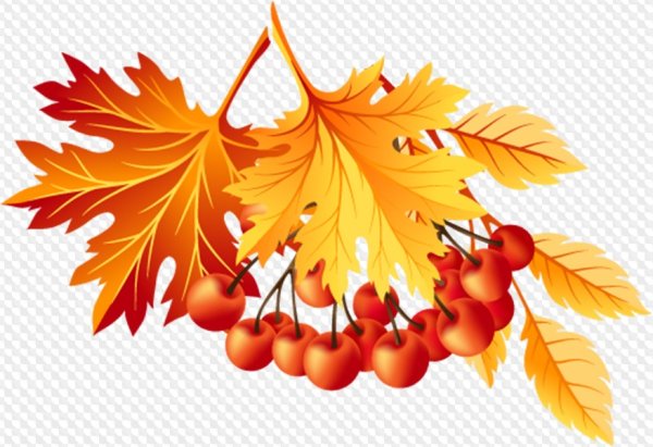 Клипарт осенние листья на прозрачном фоне