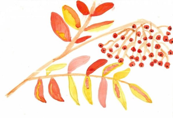 Рисование осенняя ветка