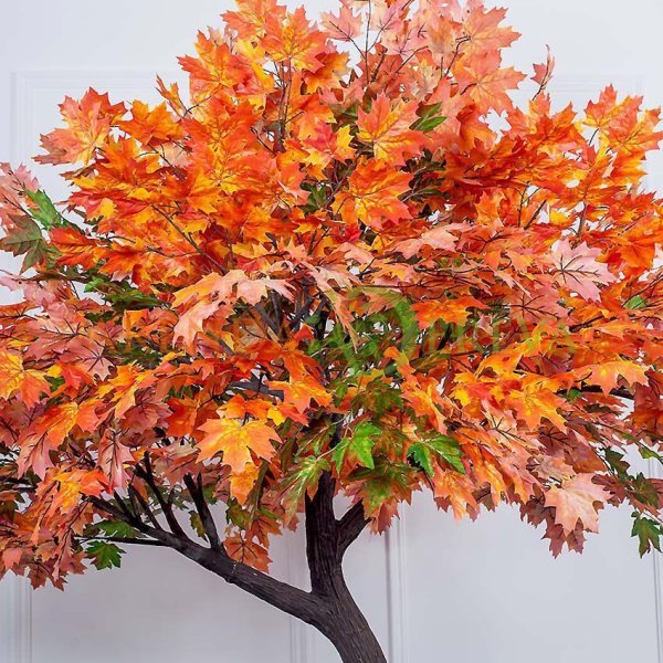 Осеннее дерево клен