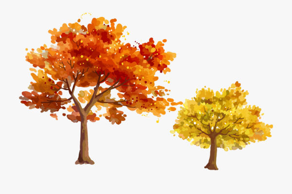 Клен дерево вектор