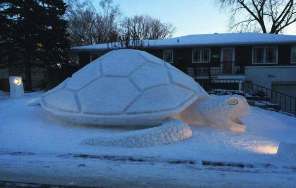 Черепаха из снега