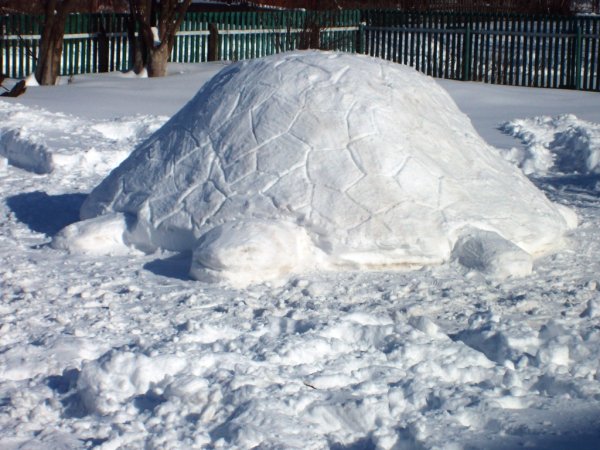 Фигуры из снега черепаха