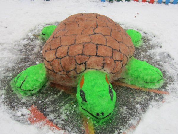 Черепаха из снега