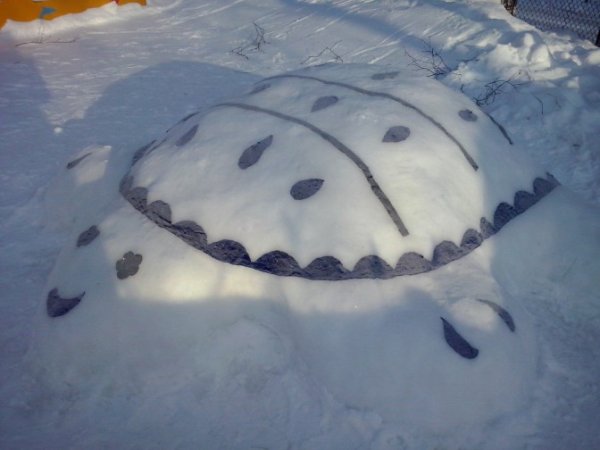 Черепаха из снега в детском саду