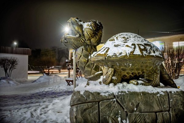 Черепаха из снега фото