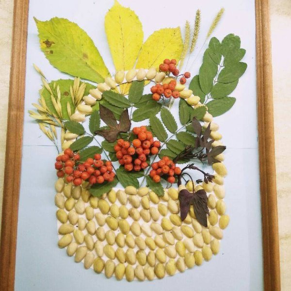 Аппликация из природного материала