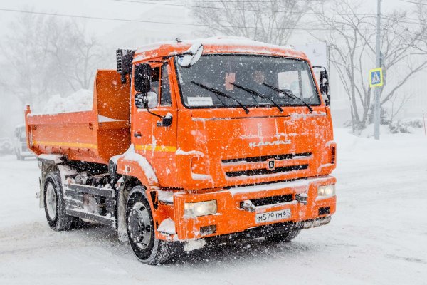 КАМАЗ 65115 на снегу