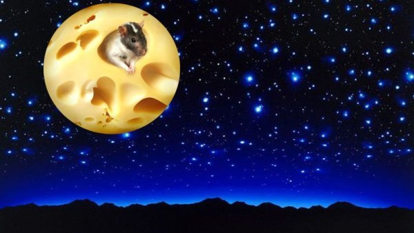 Луна из сыра