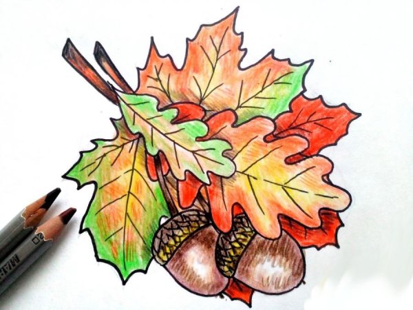Осенний рисунок карандашом