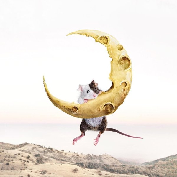 Луиза Азеведо фотоманипуляции