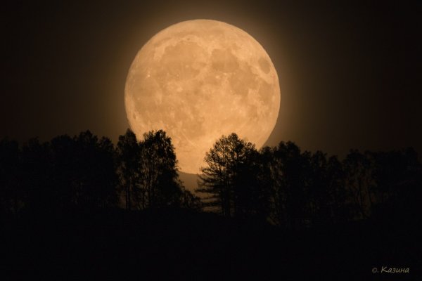 Сырная Луна