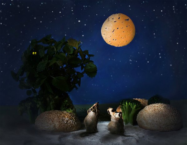 Луна похожа на сыр