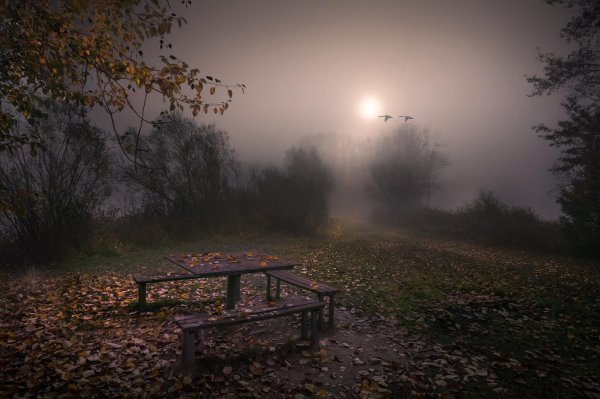 Грустная осень