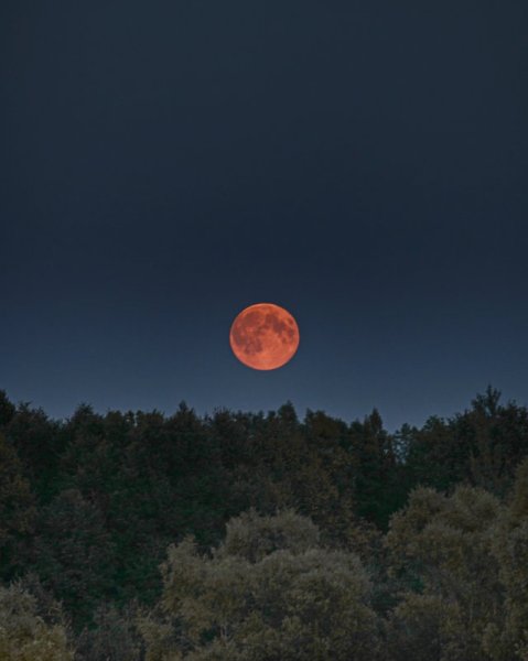 Красный месяц