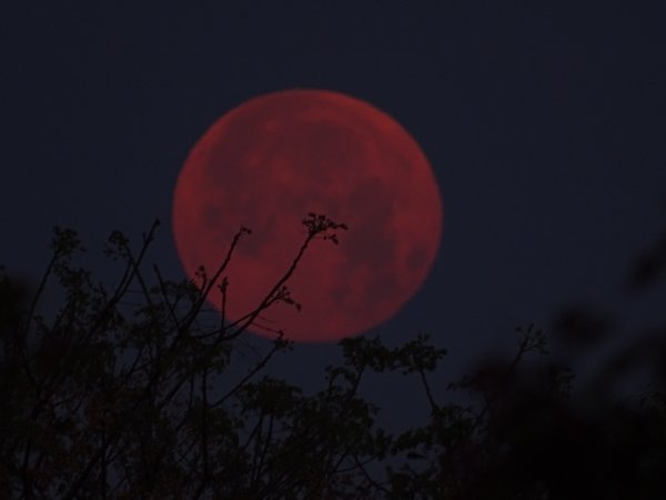 Кровавая Луна ночь кровавой Луны
