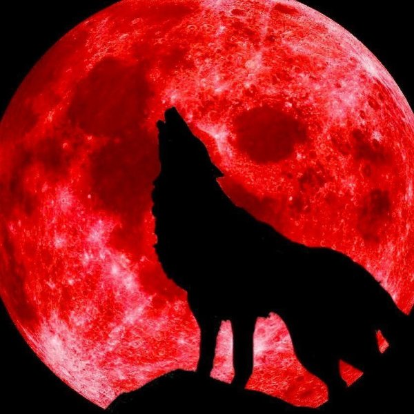Красная Луна