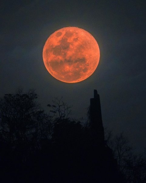 Красная Луна 2021