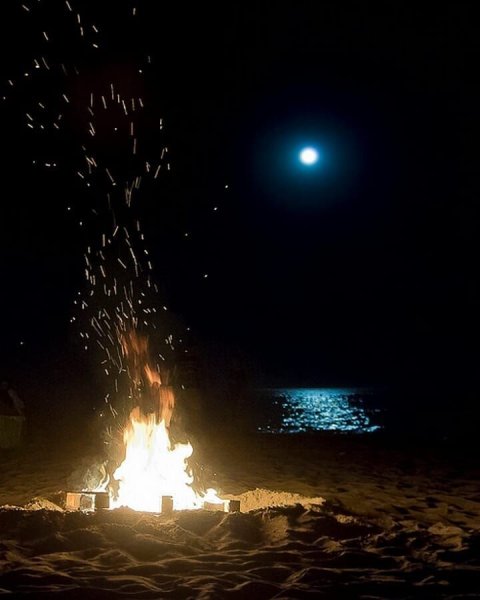 Костер под луной