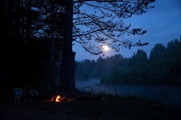 Костёр в лесу ночью