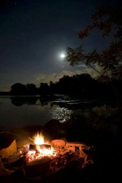 Ночь на берегу озера