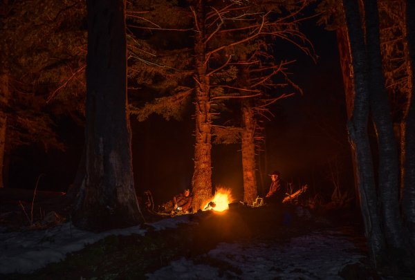Костёр в лесу ночью