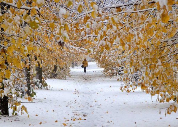 Поздняя осень снег