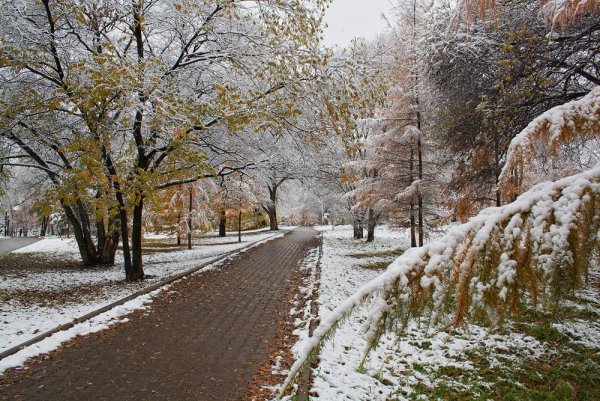 Снежная осень в городе