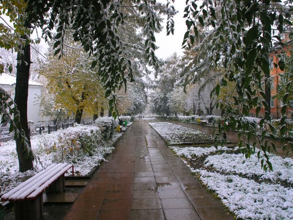 Снежная осень в городе