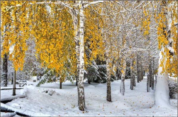 Снег на Березе осенью
