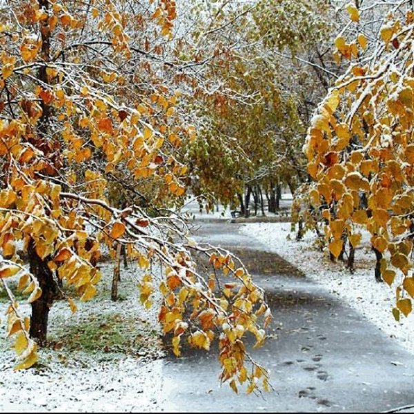 Первый снег осенью
