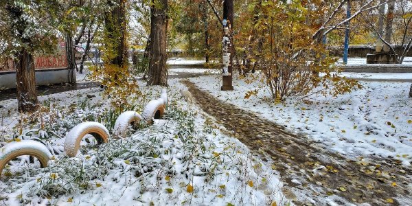 Первый снег в городе