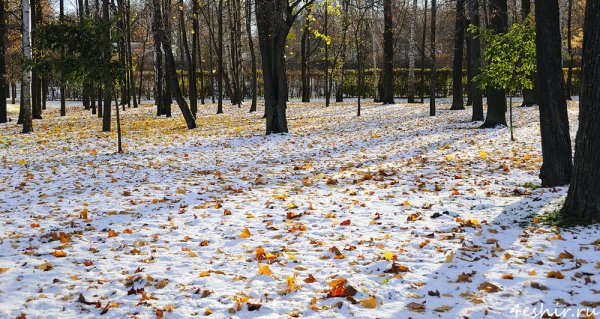 Первый снег осенью в городе