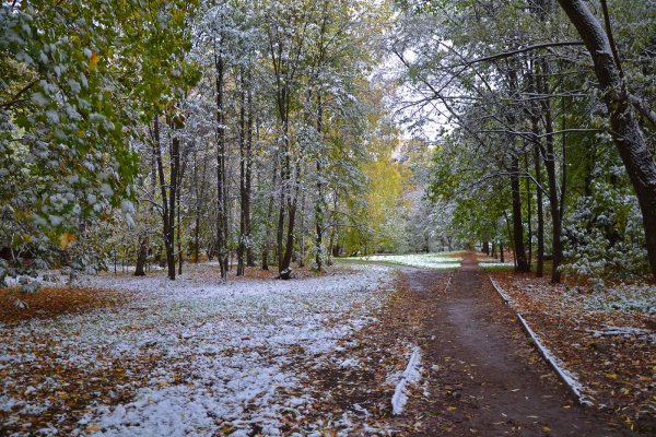 Поздняя осень, предзимье
