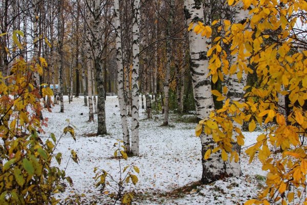 Снег осенью